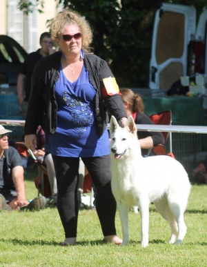 Born to Win Warrior Arrow in Dog Show in France Best of Breed