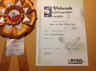 12.07.14 Born to Win White Spy in Germany V1