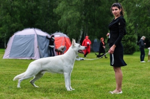 22.06.14 Dog Show Results