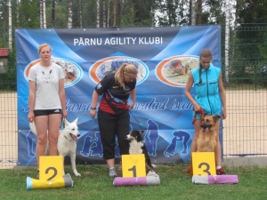 White Swiss Shepherd Dog Born to Win White MayDay in Agility 2 place