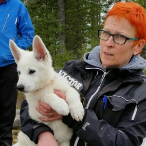 White Swiss Shepherd Dog Puppy Born to Win Warrior Arja in Finland